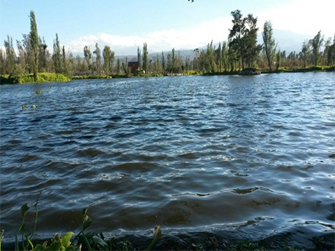 Xochimilco trajinera
