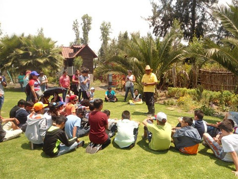 Xochimilco trajinera
