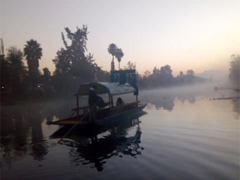Xochimilco trajinera