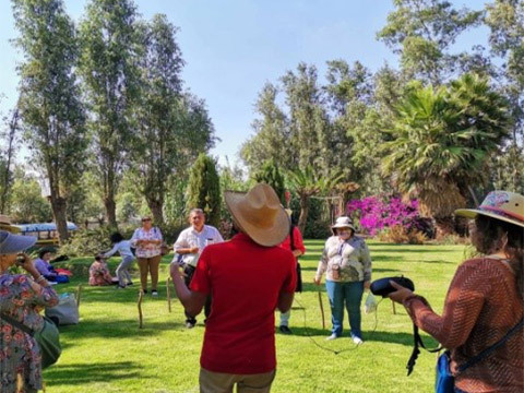 Xochimilco trajinera
